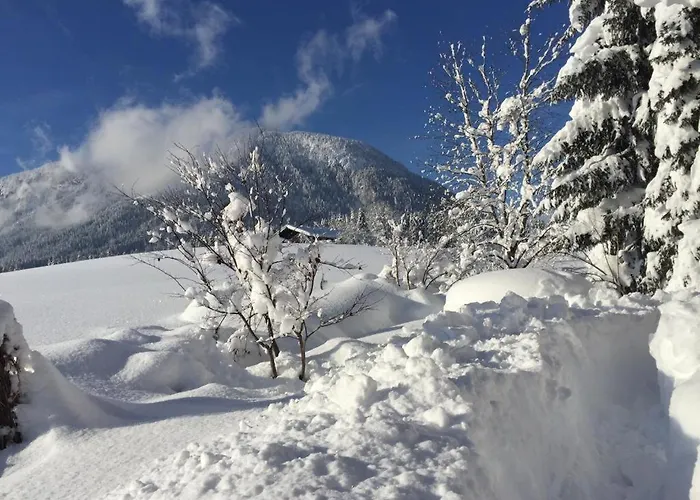 Haus Mühlleiten - *