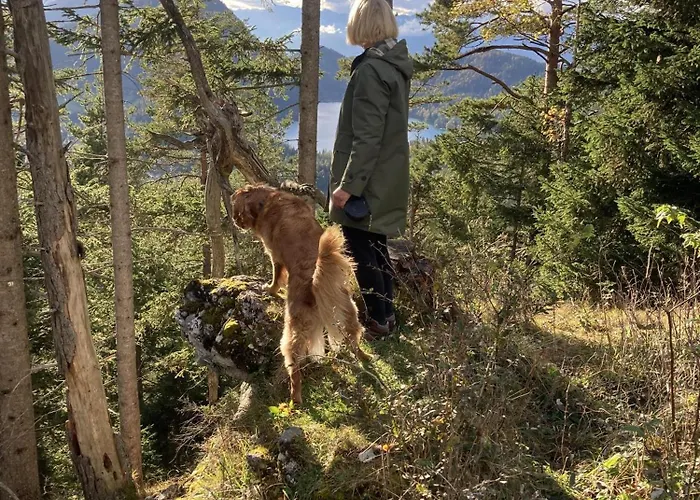 Apartamento Haus Mühlleiten - *